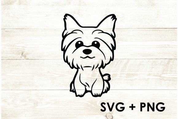 Yorkie - Cute Dog - Yorkshire Terrier